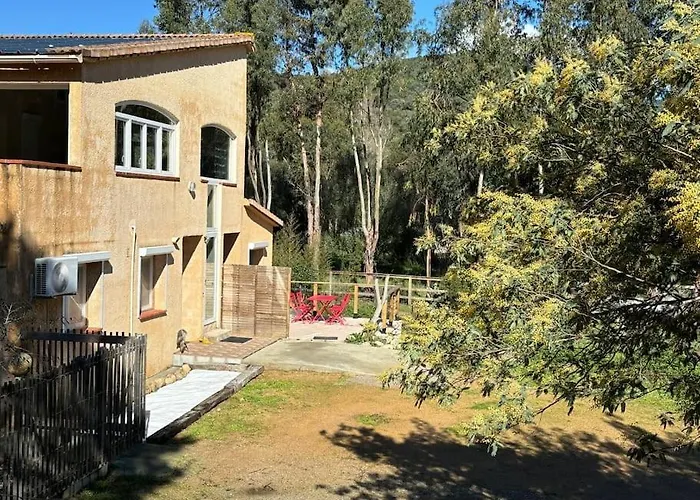 Cazoletta