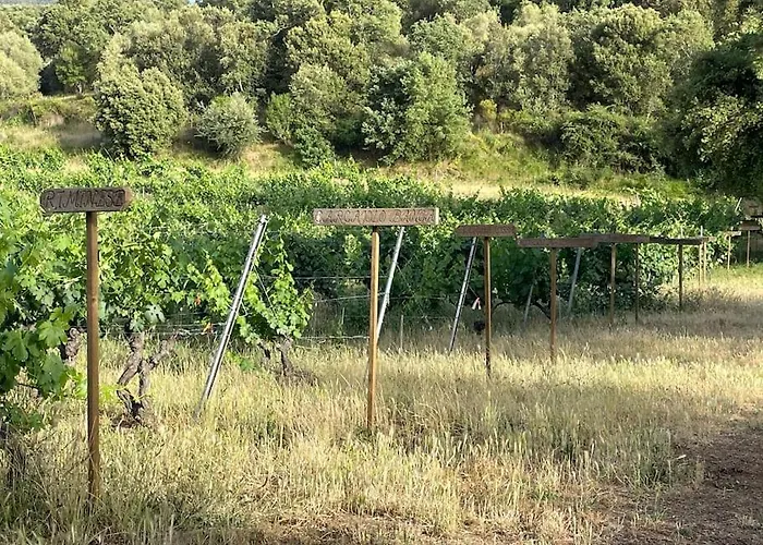 Cazoletta