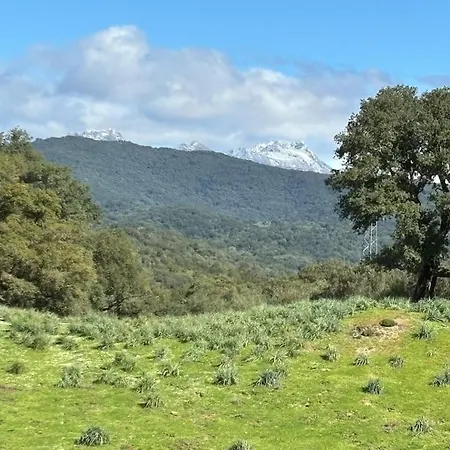 アパート Cazoletta Casalabriva