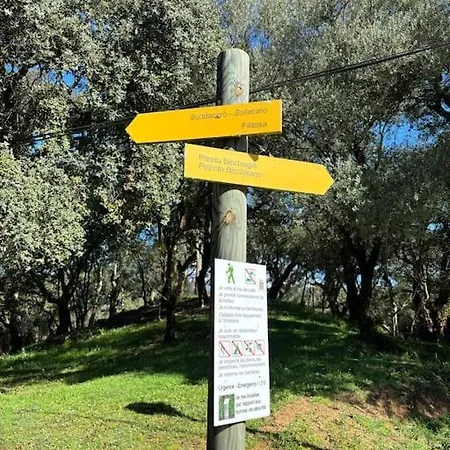 アパート Cazoletta