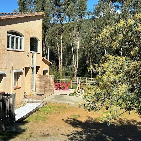 Cazoletta
