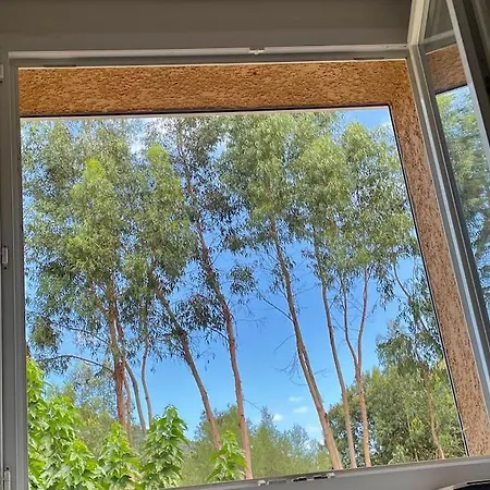 Cazoletta アパート *